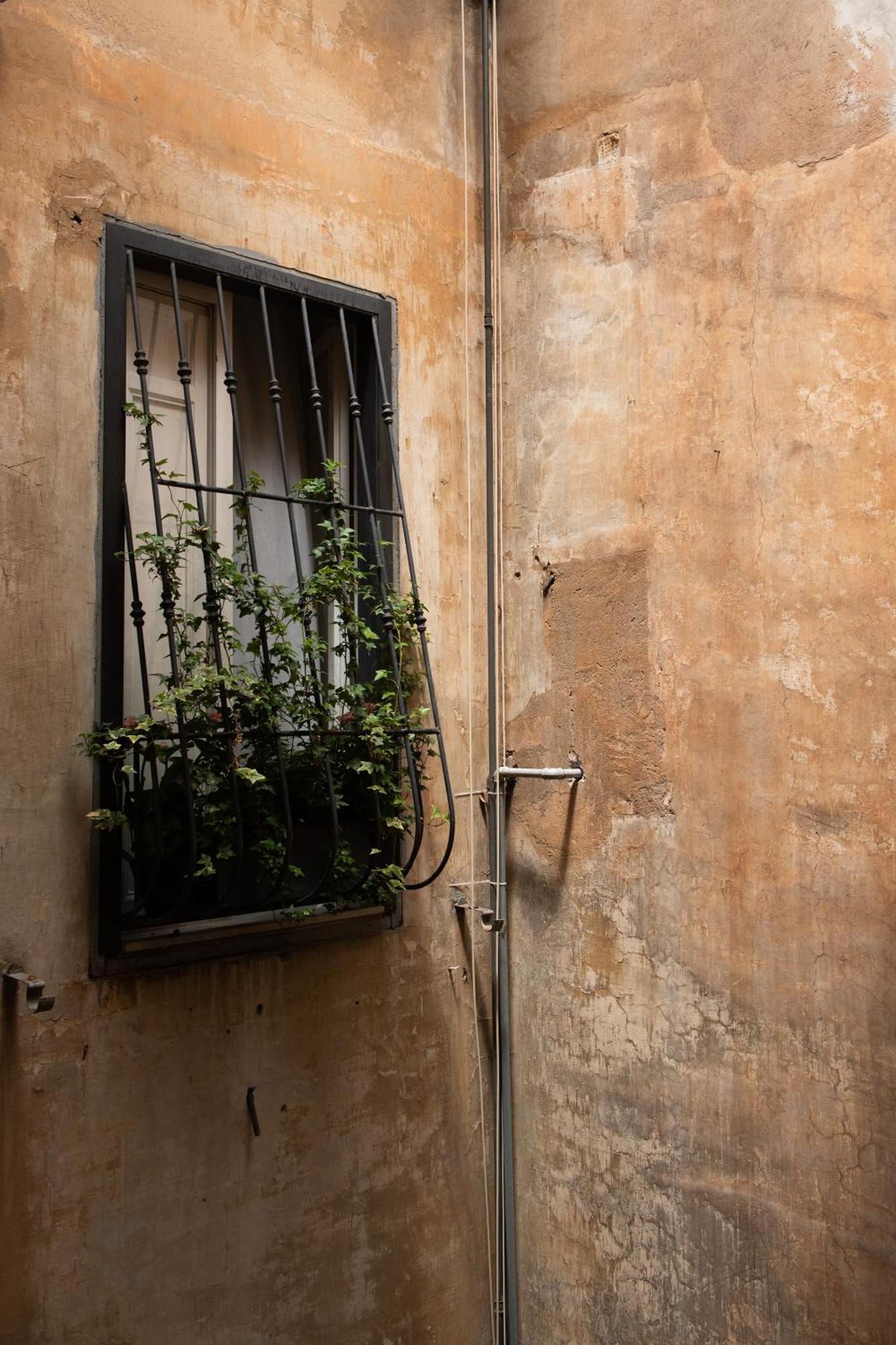 Colosseum View Accomodation Roma Exterior foto